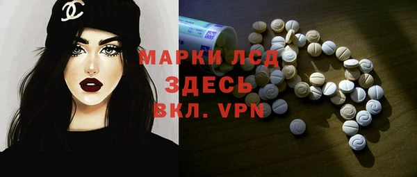 spice Аркадак